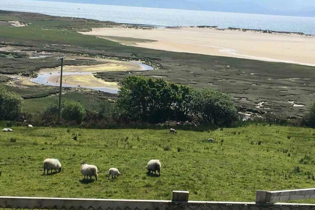 诺克Annies Meadow.别墅 外观 照片